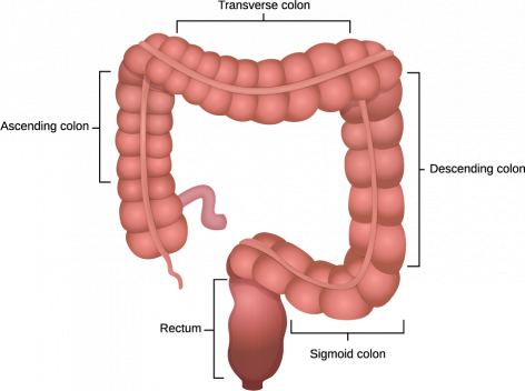 Colorectal Cancer FAQs